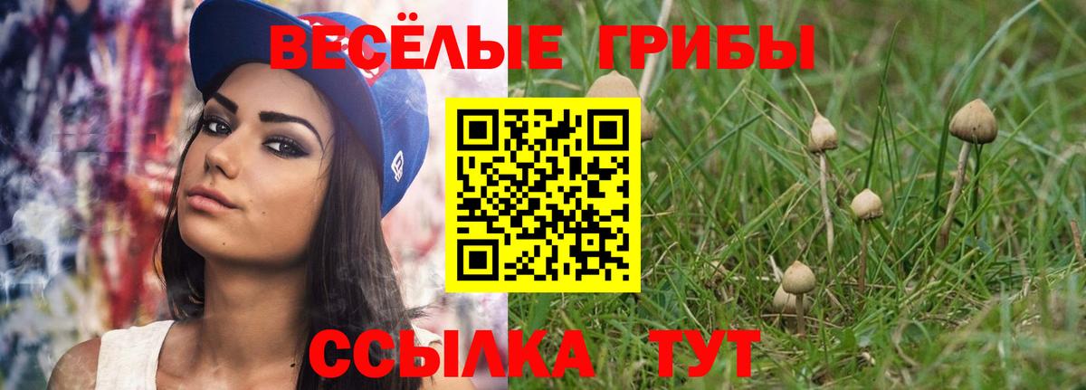 Новокубанск  Галлюциногенные грибы Psilocybine cubensis  Вход с VPN 