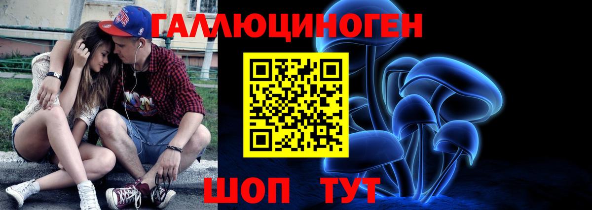 Псилоцибиновые грибы прущие грибы Новокубанск